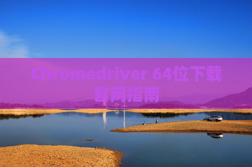 Chromedriver 64位下载官网指南 Chromedriver 64位下载官网指南