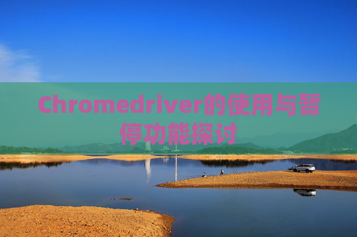 Chromedriver的使用与暂停功能探讨