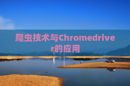爬虫技术与Chromedriver的应用