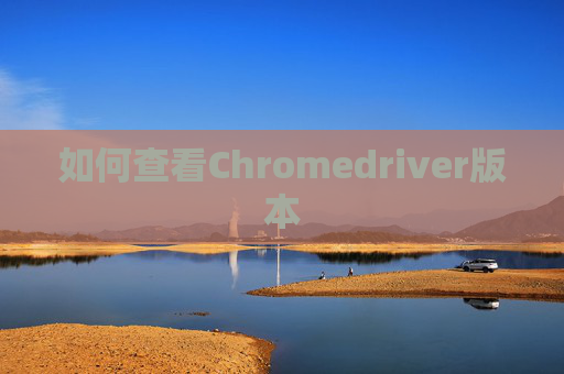 如何查看Chromedriver版本