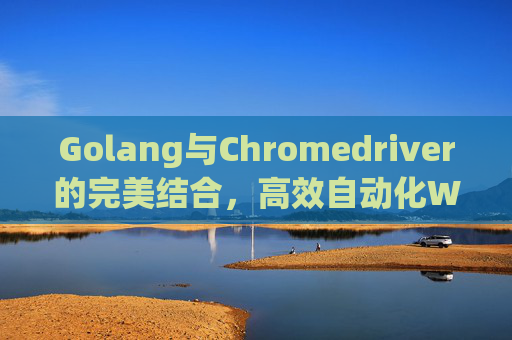 Golang与Chromedriver的完美结合,高效自动化Web测试与爬虫应用 Golang与Chromedriver的完美结合,高效自动化Web测试与爬虫应用