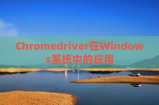 Chromedriver在Windows系统中的应用